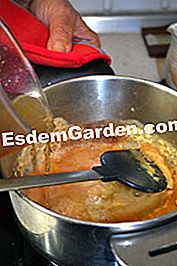 Cotolette di tacchino con salsa di scalogno - (cotolette) Stufato di tacchino con salsa di scalogno
