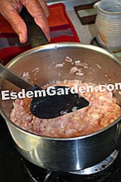Cotolette di tacchino con salsa di scalogno - (burro) Stufato di tacchino con salsa di scalogno