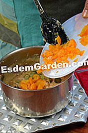 Cotolette di tacchino con salsa di scalogno - (scalogno) Stufato di tacchino con salsa di scalogno
