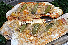 Cotolette di tacchino con salsa di scalogno - (scalogno) Stufato di tacchino con salsa di scalogno