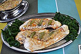 Cotolette di tacchino con salsa di scalogno - (cotolette) Stufato di tacchino con salsa di scalogno