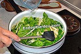 Verdure spagnole - (fagioli) Verdure spagnole: verdure