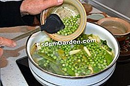 Verdure spagnole - (olio) Verdure spagnole: fagioli