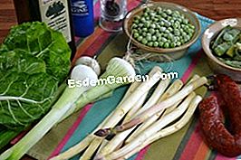 Verdure spagnole - (asparagi) ingredienti
