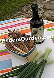 Grietinėlė iš šparagų sriubos - grietinėlė Grietinėlė iš šparagų sriubos: ingredientai