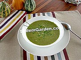 Velouté rutabaga-špinat - soli Velouté rutabaga-špinat: soli