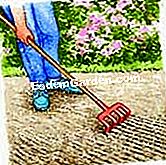 Ein schöner Rasen - (Rasen) Bereiten Sie den Boden vor