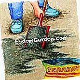 Ein schöner Rasen - (Vögel) Mit einer dünnen Schicht Blumenerde abdecken.