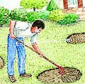 Menyemai penanaman rumput - (benih) Gosok tempat kosong