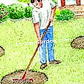 Menyemai penanaman rumput - (rumput) Bersama lantai dengan meraih