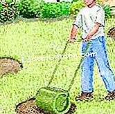 Menyemai penanaman rumput - (menyemai) Lulus roll dan air