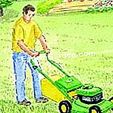 Kenapa dan bagaimana untuk menyembur rumput: bahan dan kekerapan - (bagaimana) Memotong rumput