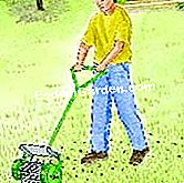 Kenapa dan bagaimana untuk menyembur rumput: bahan dan kekerapan - (dengan) Lulus penengah