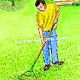 Kenapa dan bagaimana untuk menyembur rumput: bahan dan kekerapan - (bagaimana) Isi lubang udara dengan baik dengan pasir