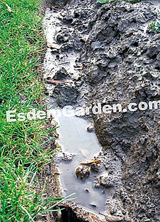 Césped: desfiles contra inundaciones en el jardín - (jardín) El daño de la lluvia en el jardín: consejos para protegerlo de las inundaciones