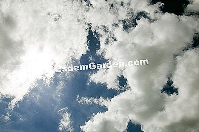 空の状態 - (8の割合に相当する評価単位である、オクタで推定される測定可能なサイズです。) 晴れた空、わずかに曇り、曇り、曇り、曇り... F. Marre - EsdemGarden