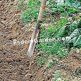 Három megoldás a nedves talaj szárítására - talaj F. Marre - esdemgarden.com- a Pagaille mezője