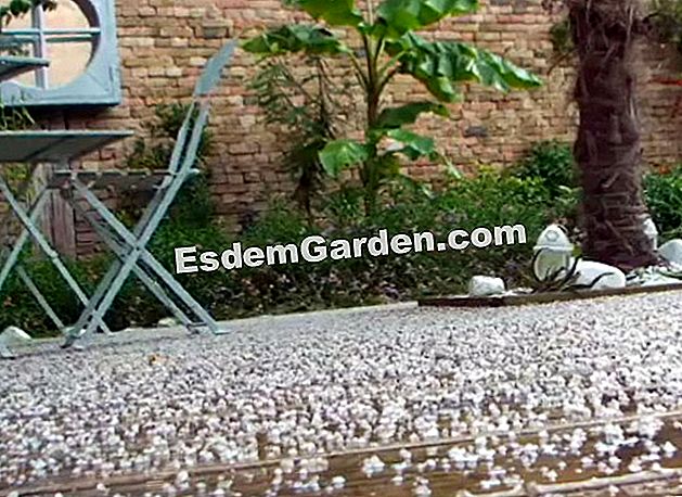 Comprender las duchas - (primavera) Extracto del video: