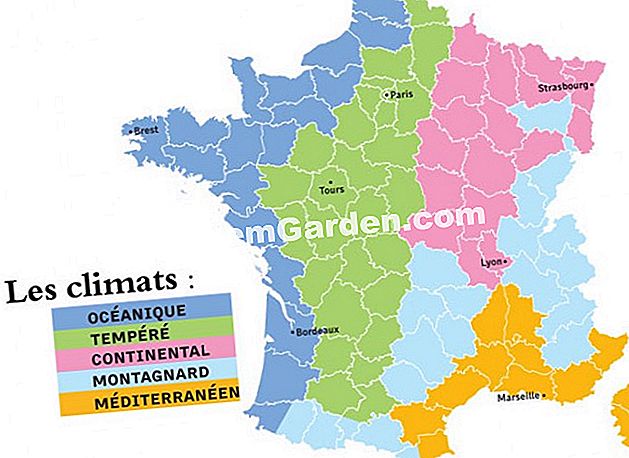 Cual es mi clima - (inviernos) Cual es mi clima