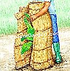 Perlindungan musim sejuk pisang: gerak isyarat dan kaedah - (perlindungan) Melindungi pisang dengan doormat