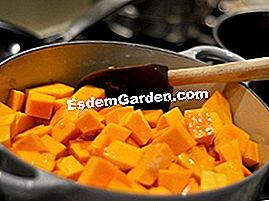 Kalėdinės ekologiškos ir ekologiškos... arba beveik - arba Butternut skvošas