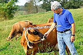 Bio seduce fermierii - (sfârșitul) crescător