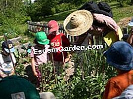 The Ecological Park of Living Earth: un'idea per una gita nella natura - (ecological) Animazione per bambini