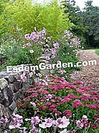 The Ecological Park of Living Earth: un'idea per una gita nella natura - (earth) Vicolo di fiori