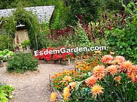 The Ecological Park of Living Earth: un'idea per una gita nella natura - (idea) Capanna Giardinieri e dalie