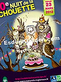 10Th Night of the Owl, 23 marzo 2013 - (evento) Notte del gufo 2013