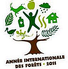 2011, Año Internacional de los Bosques - (biodiversidad) Año Internacional del Bosque