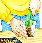 土壌分析 - (土壌分析) サンプルを準備する