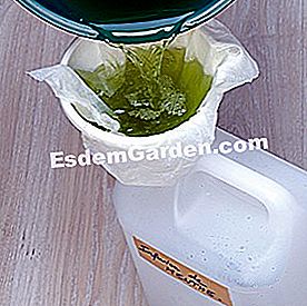 Rawatan organik di taman. Bagaimana untuk menyediakan infusi - (untuk) tuangkan penyerapan pudina ke dalam botol plastik