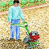 Gründünger wächst - (Boden) Bereiten Sie den Boden vor