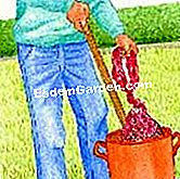 Pregătiți gunoi de urzică - (gunoi) macerare