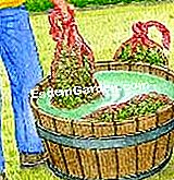 Preparare il letame di felce - (letame) Lasciare macerare nell'acqua