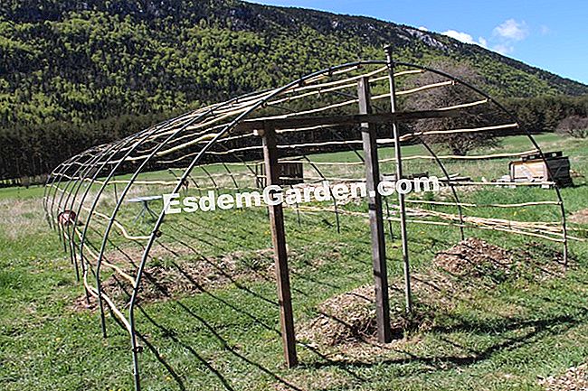 Taman dapur di permaculture di kalangan pengakap (06) - (untuk) Struktur rumah hijau buluh