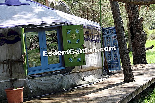 Taman dapur di permaculture di kalangan pengakap (06) - (yang) Yurt tradisional Mongolia