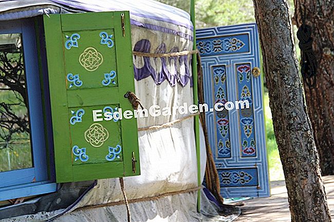 Taman dapur di permaculture di kalangan pengakap (06) - (dengan) Pintu dan tingkap yurt