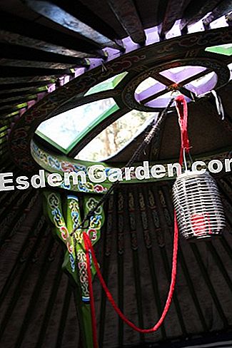 Taman dapur di permaculture di kalangan pengakap (06) - (dengan) Atap yurt