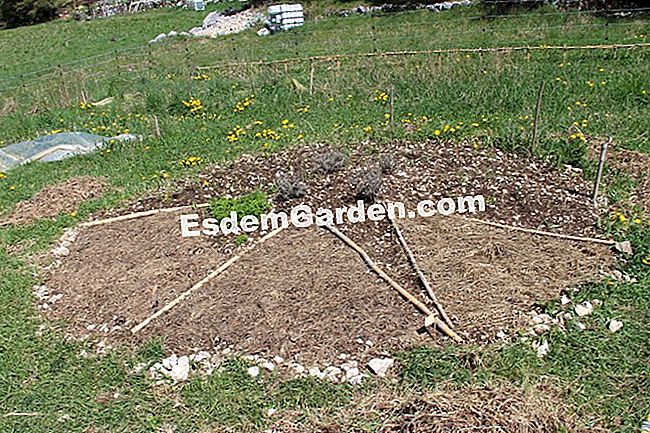 Taman dapur di permaculture di kalangan pengakap (06) - (dengan) Taman dapur di permaculture di kalangan pengakap (06): rumah