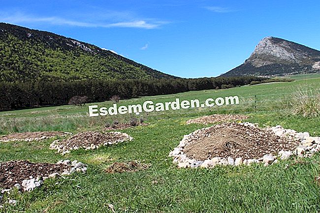 Taman dapur di permaculture di kalangan pengakap (06) - (permaculture) Taman dapur di permaculture di kalangan pengakap (06): rumah