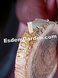 Argomento di Natale a fette di legno - (legno) Inserisci la partita