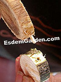 Argomento di Natale a fette di legno - (Natale) assemblaggio di pezzi (testa e corpo)