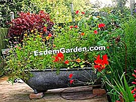Die Kunst des Recyclings im Garten - (Garten) Zinkwanne gefüllt mit Blumen