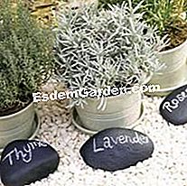 Die Kunst des Recyclings im Garten - (recyclings) Pebbles markiert, um Pflanzen zu identifizieren