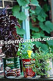 Die Kunst des Recyclings im Garten - (Garten) Blechdosen in Blumentöpfen