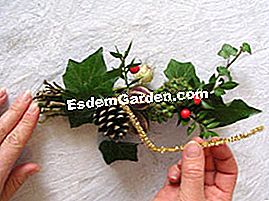 Crăciunul de Crăciun - (fructe) Adăugarea atingerii festive