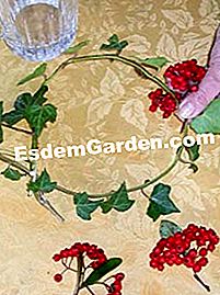 Decoración de mesa natural para fiestas - (decoración) colocando racimos de bayas