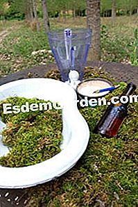 정원의 새로운 장식 트렌드 이끼 낙서 - gardeners 초대하는 필요한 재료